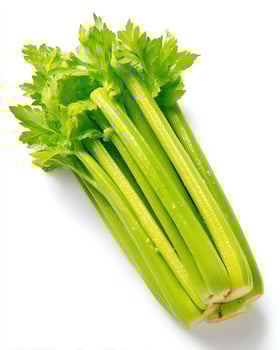 Fresh celery stalks on a white background. photo