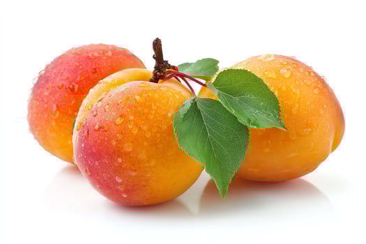 Fresh apricots with water droplets. photo