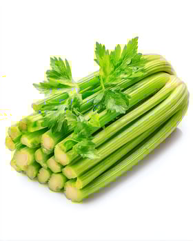 Fresh green celery stalks with leafy tops. photo