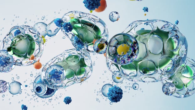 Microscopic Biological Bubbles With Vibrant Particles and Detailed Structures photo