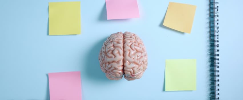 The Brain Model Surrounded by Colorful Sticky Notes on Blue Background photo