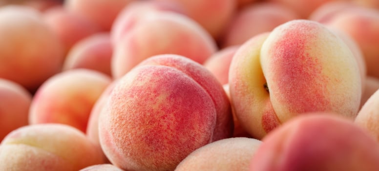 The Peaches Closeup Showing Fresh Ripe Juicy Summer Fruit with Soft Fuzzy Skin photo