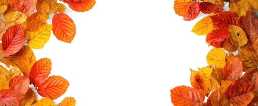 The Autumn Leaves Border Framing White Space for Seasonal Fall Design and Text photo