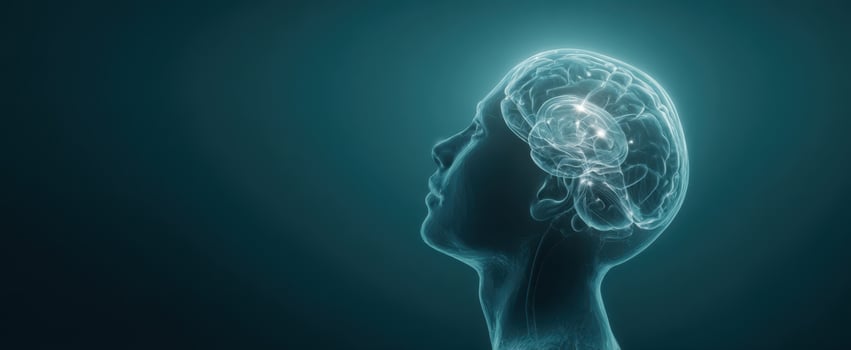 The human brain inside a translucent head silhouette with glowing neural connections photo