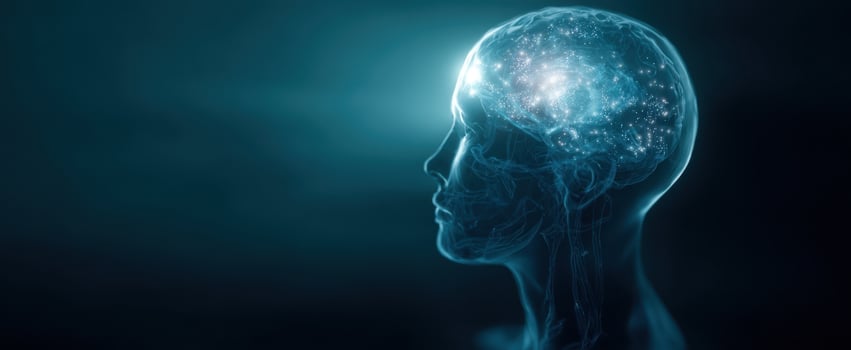 The Human Brain Encased in Futuristic Digital Head with Illuminated Neural Network photo