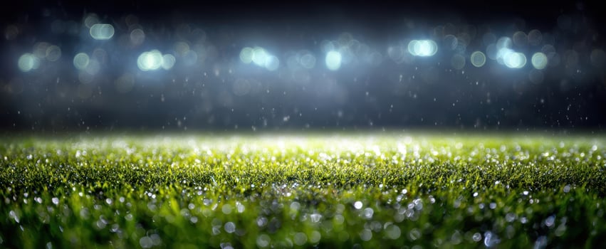 The grass of a rain soaked stadium field glistening under blurred floodlights at night photo