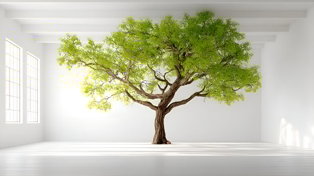 Green tree growing in minimalist white room with windows photo