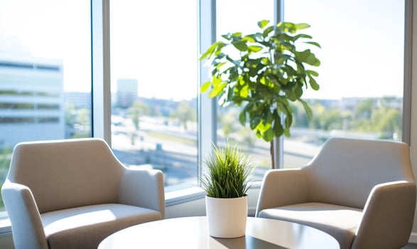 Office chairs, plants, city view waiting area photo