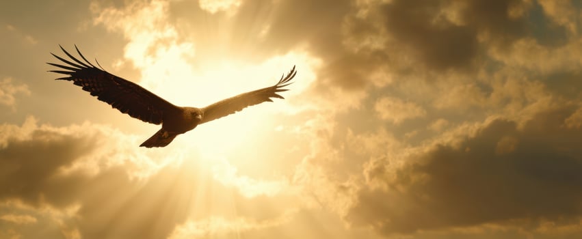 The Eagle Soaring Through Golden Sunbeams Over Dramatic Cloud Filled Sky at Sunset photo