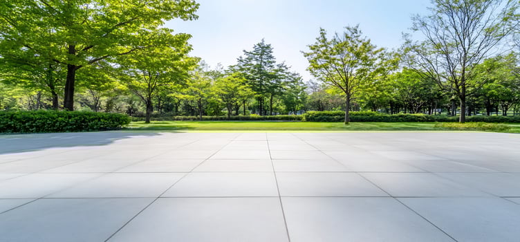 Park square, green trees, sunny day, paved ground photo