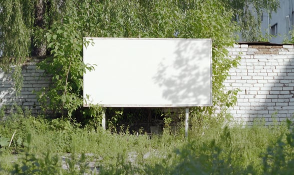 Blank billboard surrounded by overgrown greenery in an urban setting photo