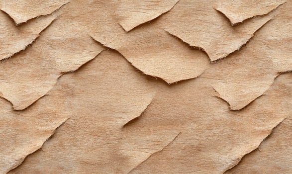 Torn paper texture background photo