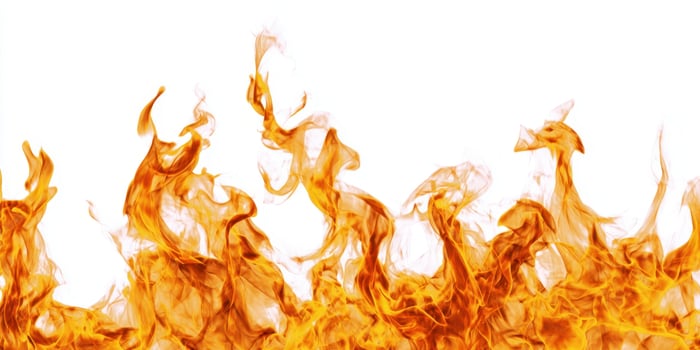 The vibrant flames dancing against a pristine white background photo
