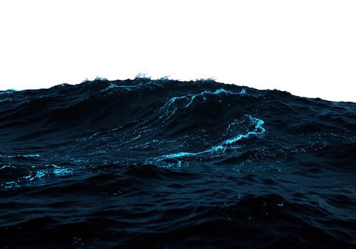 Dark blue ocean wave with bioluminescent sparkle isolated on white background photo