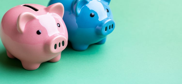 Pink and blue piggy banks on green. Saving money concept photo
