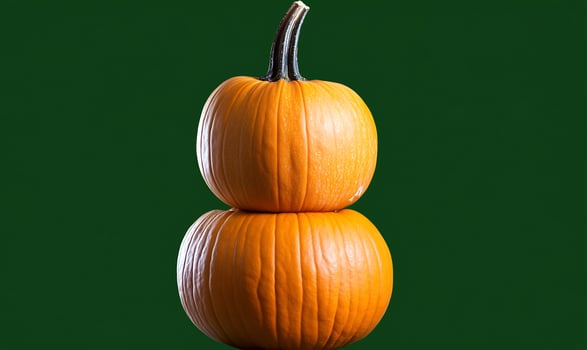 Two pumpkins stacked, green background, autumn harvest photo