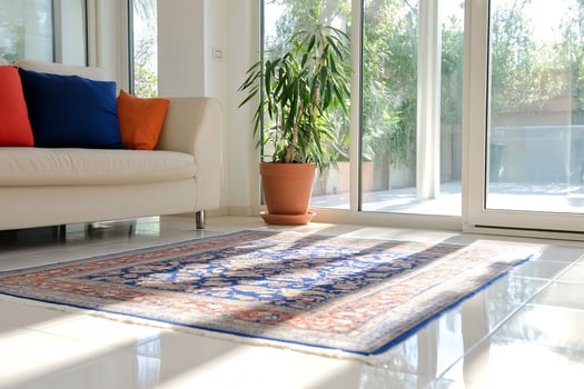 Sunny living room rug, sofa, plant photo
