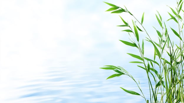Tranquil lake, green reeds, summer sky, nature background, serenity photo