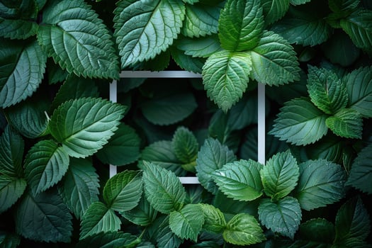 Green leaf frame fresh natural botanical background graphic element photo