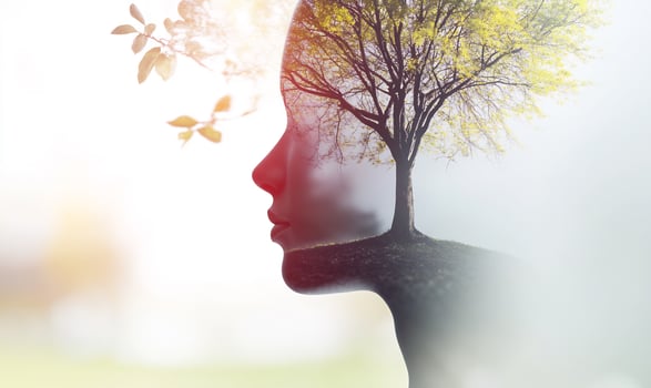 Woman, nature, tree, head, profile, spring, growth, environmental photo