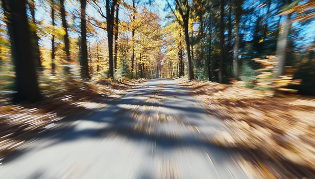Autumn road, forest drive, fall foliage, sunlight, nature photo