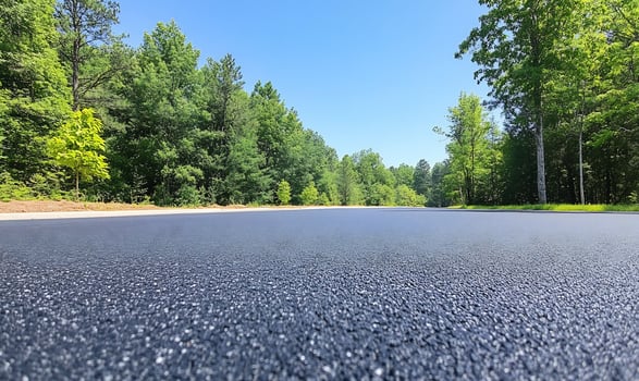 New asphalt road, forest, sunny day, travel photo
