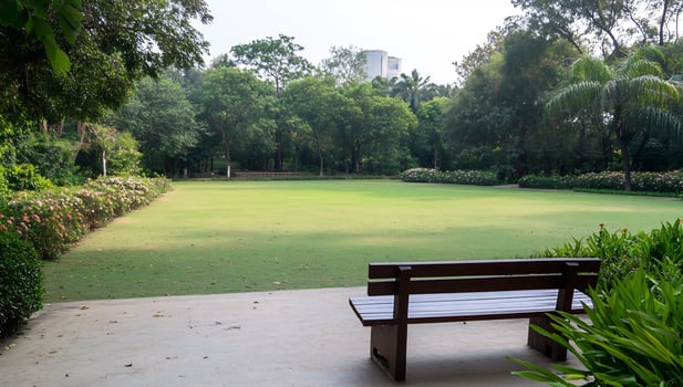 Park bench, green lawn, city view, serene morning photo