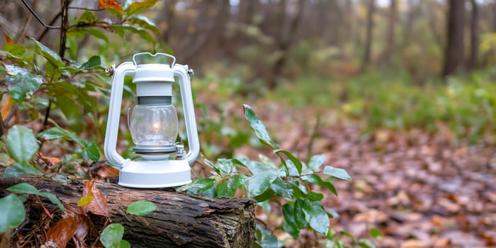 White lantern on forest log, autumn leaves. Nature scene photo