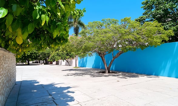 Sunny courtyard, blue wall, tropical trees, Mexico photo