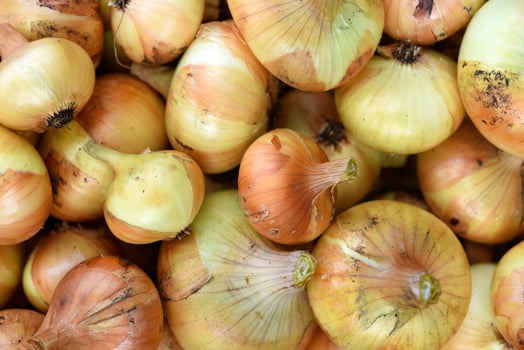 Organic onions and garlic arranged for market sale. photo