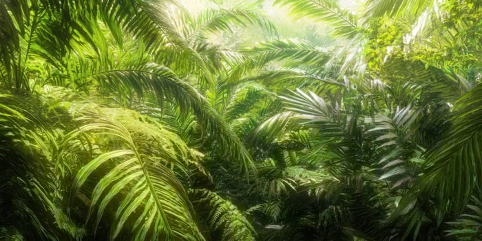 The Lush Greenery of a Vibrant Tropical Jungle Scene photo