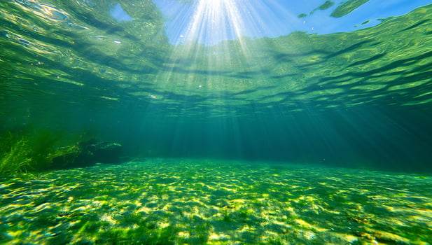 Underwater sunbeams illuminate lakebed photo