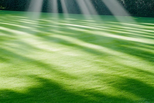 Sunbeams on green lawn, garden background, nature serenity photo