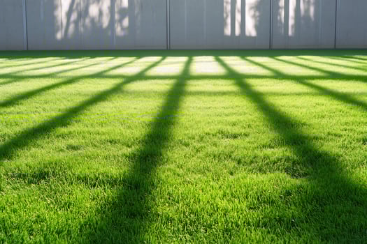Sunlight shadows on green lawn, wall background, nature scene photo