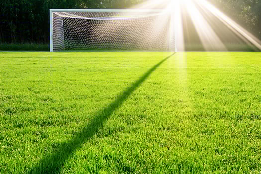 Soccer goal, sunny field, shadow, nature, sports background photo