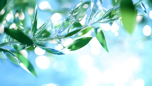 Crystallized Olive Branch, Sunlight, Nature, Background Blur, Botanical photo