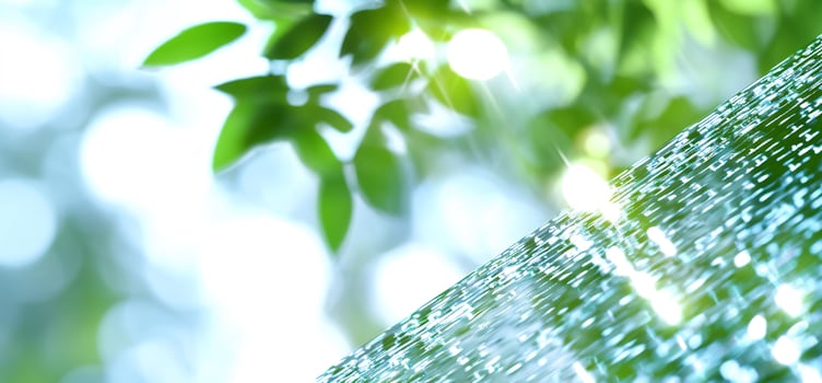 Water droplets on surface, sunlight, green leaves photo