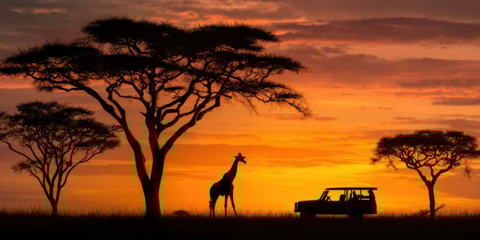The Giraffe Standing Gracefully Under a Vibrant Sunset in Africa photo