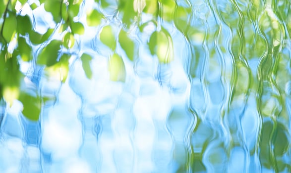 Green leaves reflected in rippling water, nature background, serenity photo