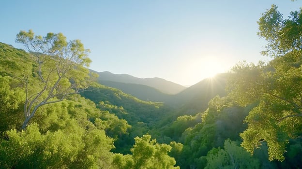 Sunset over lush green mountain valley photo