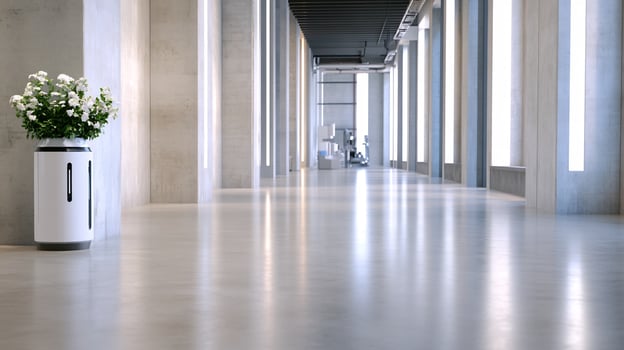 Modern hallway, concrete walls, flowers, bright photo