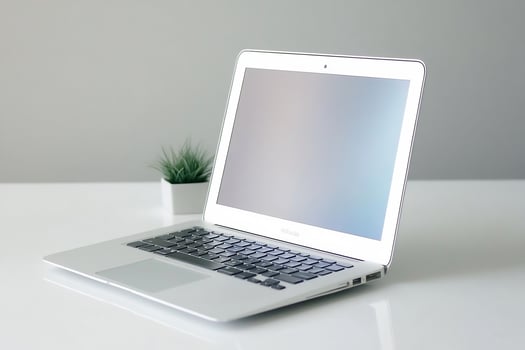Laptop on desk, plant, gray background work, technology photo