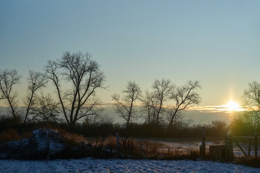 Winter sunrise over snowy landscape with bare trees and clear sky in tranquil countryside scene. photo