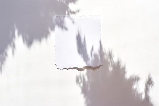 Torn paper on white surface with soft plant shadows creating minimalist and ethereal aesthetic. photo