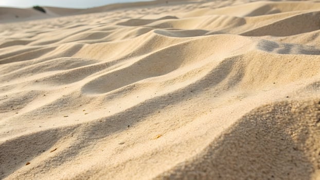 Golden Sand Dunes Landscape Desert Waves Texture, Warm Sunlight, and Arid Environment photo