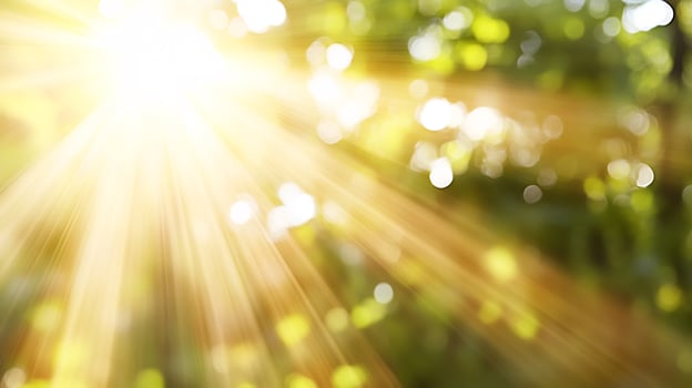 Sunbeams through leaves, nature background, summer photo