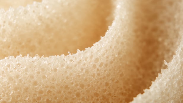 Closeup Shot of Honeycomb Structure with Delicate Edges and Soft Yellow Tone. photo