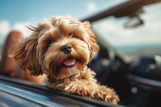 A cheerful small dog leans out of an open car window, enjoying the breeze on a sunny day. Blue sky and distant landscapes create a joyful atmosphere for the adventure. photo