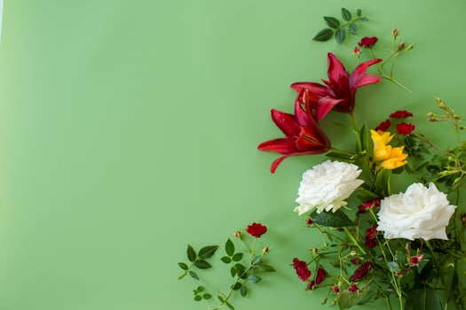 Close up of red lilies with red and white roses on green background photo