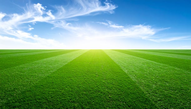 Minimal Sports Field With Green Grass And Clear Blue Sky Realistic Isolated Landscape photo